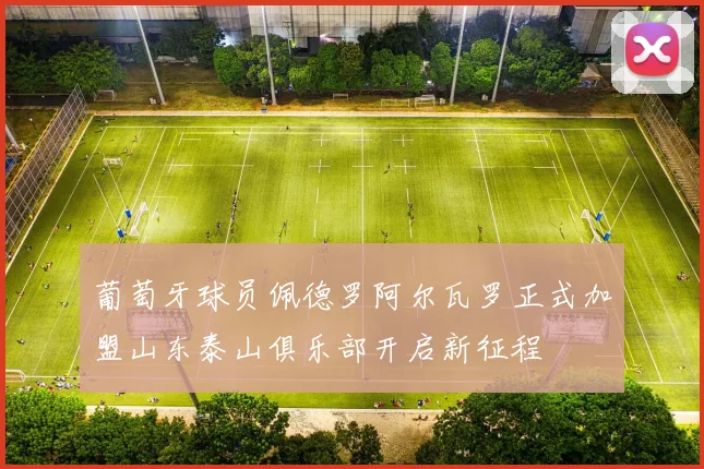 葡萄牙球员佩德罗阿尔瓦罗正式加盟山东泰山俱乐部开启新征程