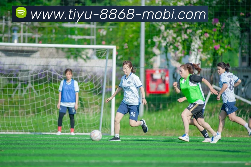 多媒体互动体验